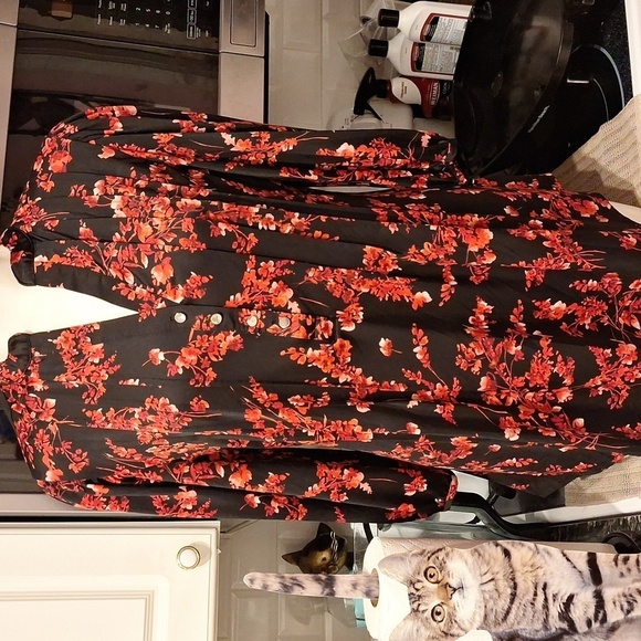 L womens Ava & Grace floral stretch 3/4 sleeve plus size top 1X EUC - Picture 1 of 4
